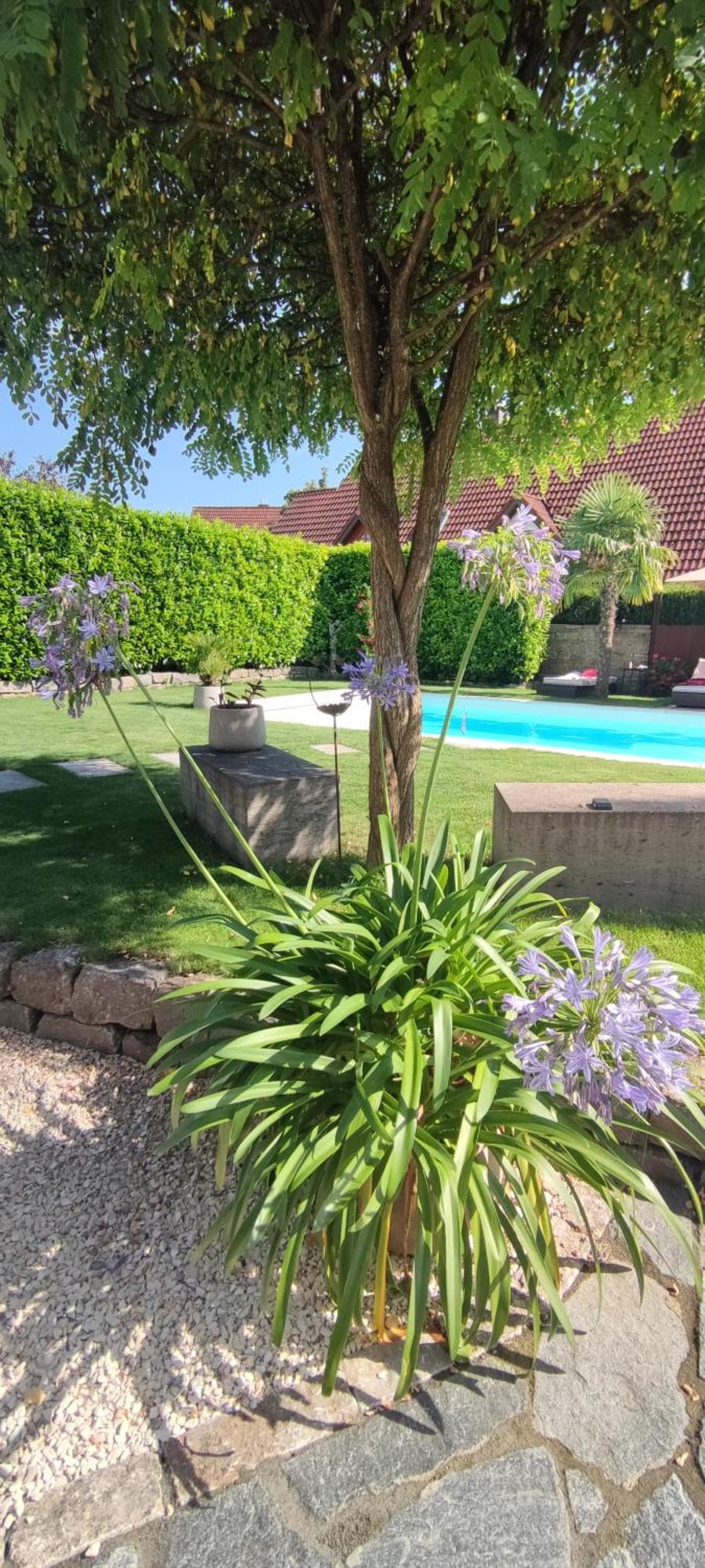 Bel Giardino Leilighet FDH Eksteriør bilde